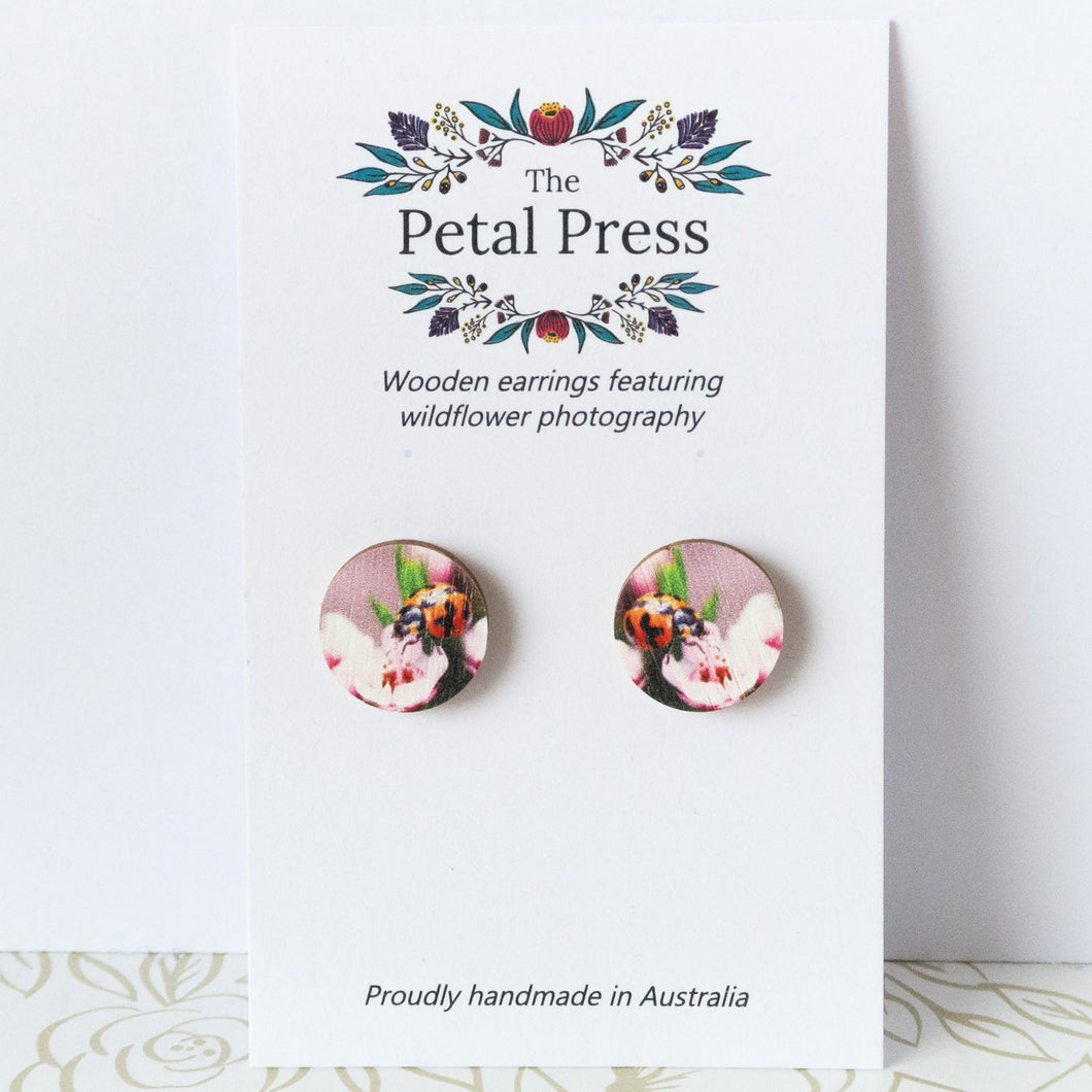 Ladybird on Waxflower Earrings / Circle Studs [PPES1051]