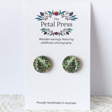 Load image into Gallery viewer, Spiky Banksia Leaves Earrings / Circle Studs [PPES1055]
