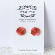Load image into Gallery viewer, Red Pokers Hakea Earrings / Circle Studs [PPES1060]
