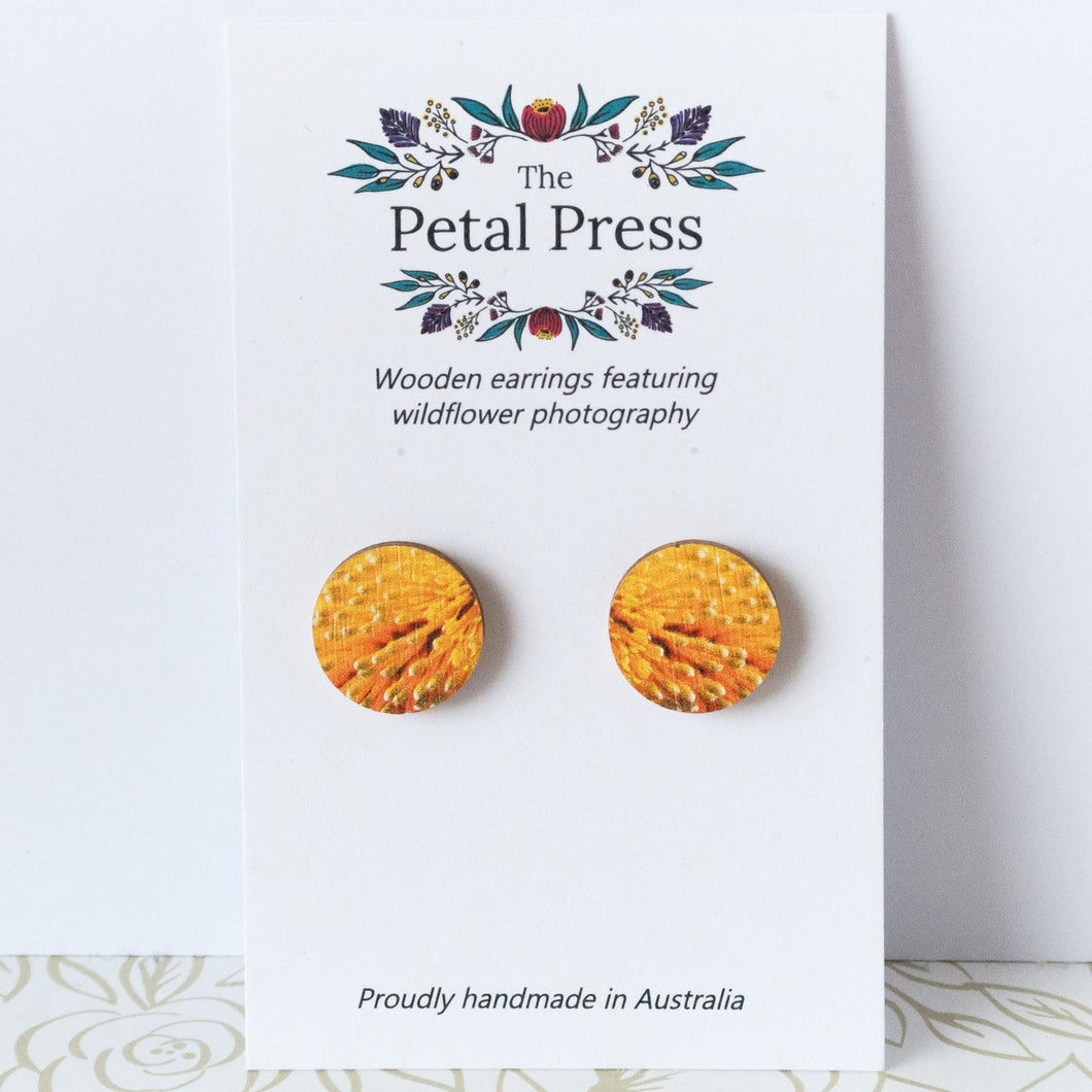 Orange Banksia Earrings / Circle Studs [PPES1068]