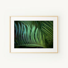 Load image into Gallery viewer, [PP1006] Zamia print
