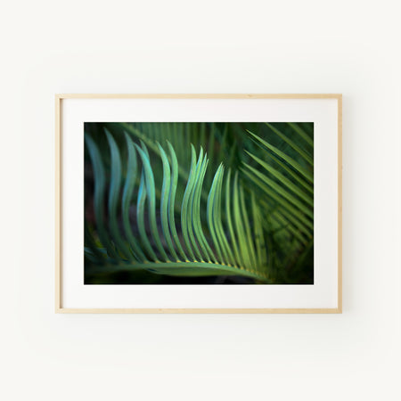 [PP1006] Zamia print