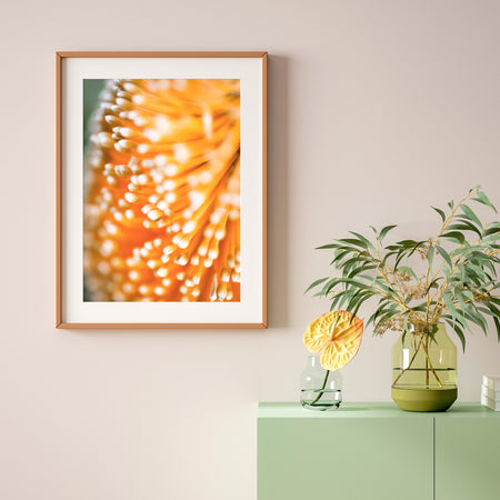 [PP1009] Ashby’s Banksia print