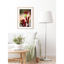 Load image into Gallery viewer, [PP1018] Red Kangaroo Paw print
