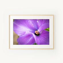 Load image into Gallery viewer, [PP1020] Lilac Hibiscus print
