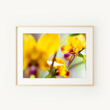 Load image into Gallery viewer, [PP1027] Pansy Orchid print
