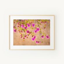 Load image into Gallery viewer, [PP1028] Homalocalyx thryptomenoides print
