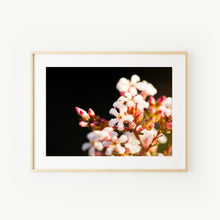 Load image into Gallery viewer, [PP1029] Beard heath print
