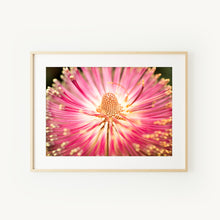 Load image into Gallery viewer, [PP1033] Cut-leaf Banksia print
