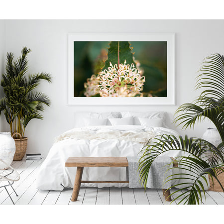 [PP1034] Prickly Hakea print