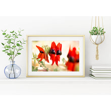 Load image into Gallery viewer, [PP1036] Sturt&#39;s Desert Pea print

