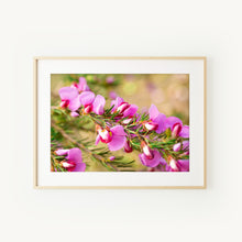 Load image into Gallery viewer, [PP1041] Painted Lady print
