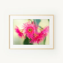 Load image into Gallery viewer, [PP1042] Pink Marri print
