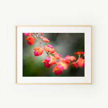 Load image into Gallery viewer, [PP1043] Flame pea print
