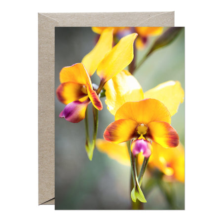 [PPC1004] Pansy Orchid greeting card