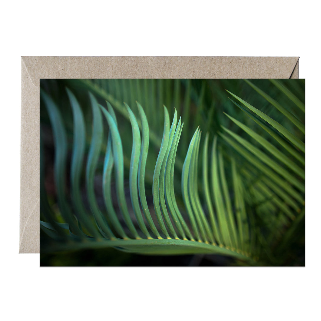 [PPC1006] Zamia greeting card