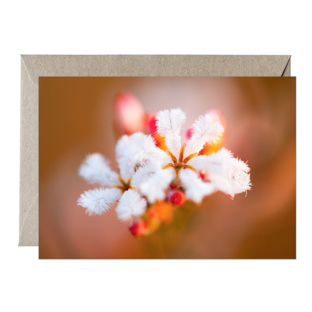 [PPC1007] Beard-heath greeting card