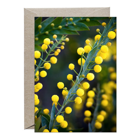 [PPC1015] Flat Wattle greeting card