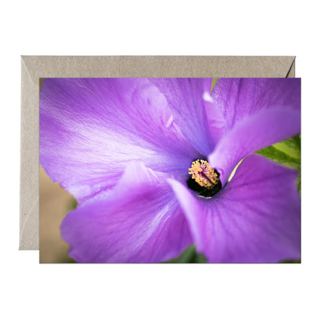 [PPC1020] Lilac Hibiscus greeting card