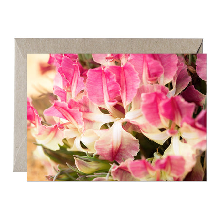 [PPC1023] Wreath Leschenaultia greeting card