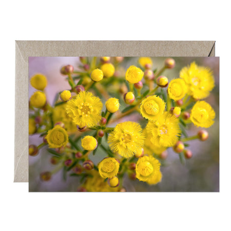 [PPC1025] Yellow Feather Flower greeting card