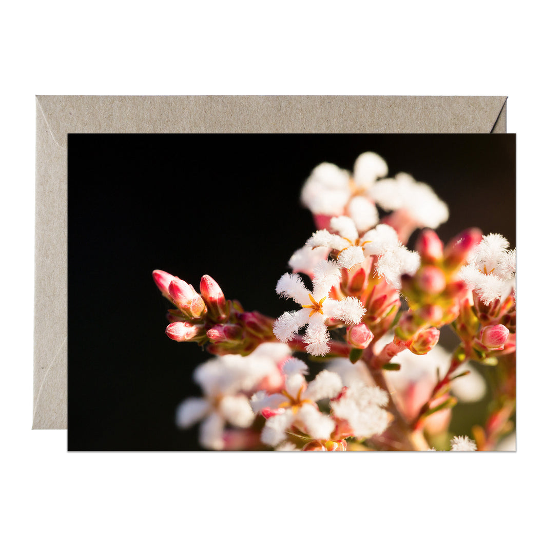 [PPC1029] Beard heath greeting card