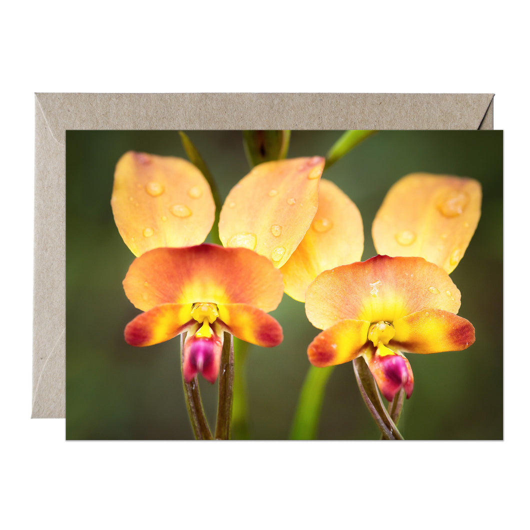 [PPC1031] Common Donkey Orchid greeting card