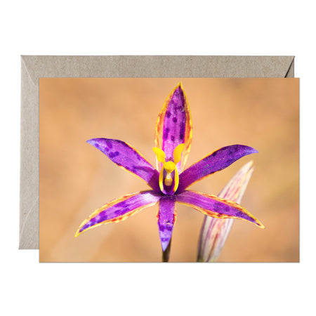 [PPC1038] Queen of Sheba orchid greeting card