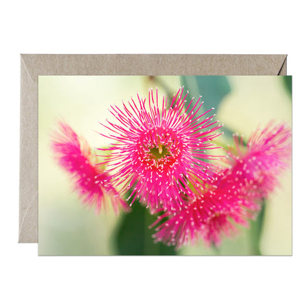 [PPC1042] Pink Marri greeting card